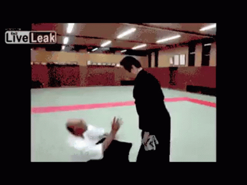 Aikido