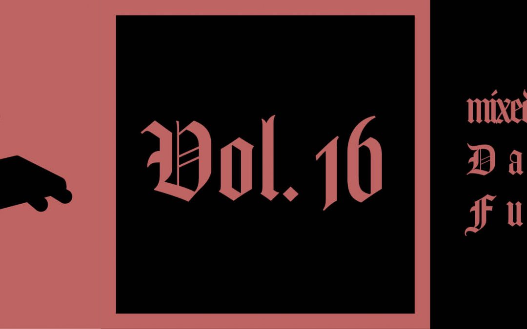 Vol. 16: Mixed Martial Arts erobert Berlin